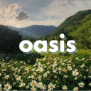 ୧ ׅ𖥔 ۫ oasis ⋄ 𓍯 Discord Server Logo