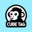 CubeTag Discord Server Logo