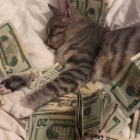 Catizon Discord Server Logo