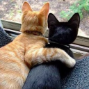 friend Discord Server Logo