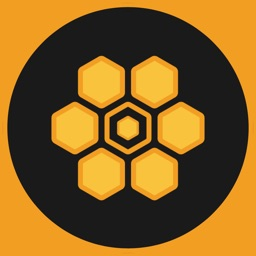 Team Hive Discord Server Logo