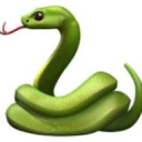 SNEK ARMY Discord Server Logo