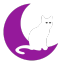 ✨NIGHTMC✨ Discord Server Logo