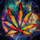 ZAZA 🍃 Discord Server Logo