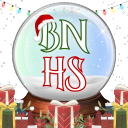 🎄 Bayag National High School 🎄 Discord Server Logo