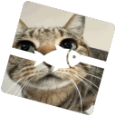 Fishstrap Discord Server Logo