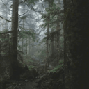 Hallows Forest 🌿 Discord Server Logo