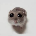 Mini Hamster Discord Server Logo