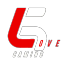 Love Gaming Discord Server Logo