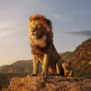 Lion King & Guard Fans Discord Server Logo