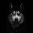 𝔻𝕒𝕣𝕜 𝕤𝕚𝕕𝕖 Discord Server Logo