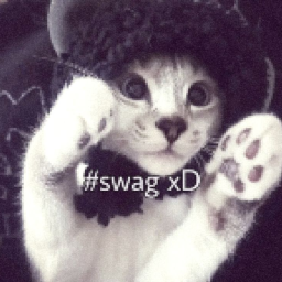 Nguyen's Bloxstrap Settings Discord Server Logo