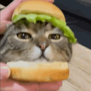 nett Discord Server Logo