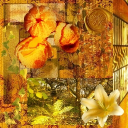 ❀₊˚⊹!!𝒁&𝑭 𝑺𝒑𝒂𝒄𝒆!!⊹˚₊❀ Discord Server Logo