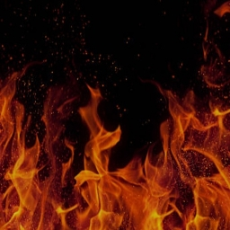 Fire's Assets Discord Server Logo