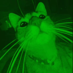 ZIP. PLACE 👾 #300 Discord Server Logo