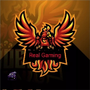 Real Discord Server Logo