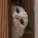 x5enji’s Hideout Discord Server Logo