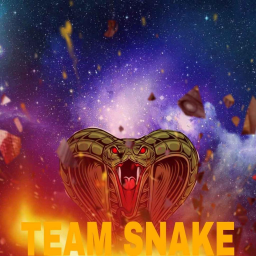 Team Snake 🐍 Discord Server Logo