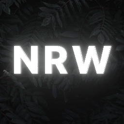 © 🇩🇪 GER Discord Server Logo