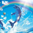Riverview University 🐬🌺 Discord Server Logo