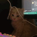 𝔷𝔢𝔯𝔬 𝔤𝔯𝔞𝔳𝔦𝔱𝔶 ꨄ Discord Server Logo