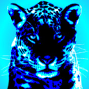 Shadow of BlueJaguars Discord Server Logo