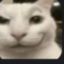 Thetruecomeback Discord Server Logo