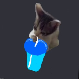 imagine a name here Discord Server Logo