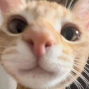 Matt Discord Server Logo