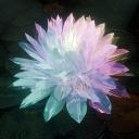 Lotus Crystalite Discord Server Logo