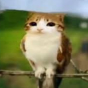 (^꒳^) Lunarex empire Discord Server Logo