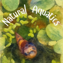 Natural Aquatics 🫧🐠🌿 Discord Server Logo