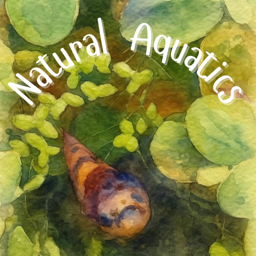 Natural Aquatics π«§π πΏ Discord Server Logo