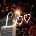 Lov ™ Discord Server Logo