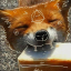 Dix N’ Tix Community ((HUGE WIP)) Discord Server Logo