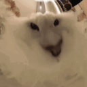 PROUT Discord Server Logo