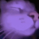 Not Discord Server Logo