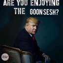 What the moss Discord Server Logo