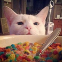 /cereal social Discord Server Logo