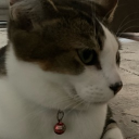 Da Toby Hideout Discord Server Logo