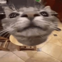 Tofu's village Discord Server Logo