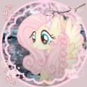 🌸　ノfluttershy　୨୧　tagsㆍgiveαwαysㆍsociαl Discord Server Logo