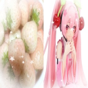 ⋆. 𐙚 ˚𝙱𝚊𝚋𝚒𝚒 𝙿𝚊𝚕𝚊𝚌𝚎 ૮꒰˶ฅ˘ฅ˶꒱ა Discord Server Logo