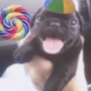 O Covil do Epich Discord Server Logo
