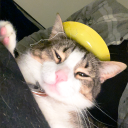 Gully’s Gatitos Discord Server Logo