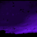 ⋆˙⟡𝐃𝐄𝐋𝐔𝐒𝐈𝐎𝐍𝐀𝐋 𝐏𝐀𝐑𝐀𝐃𝐈𝐒𝐄 ⋆˙ Discord Server Logo