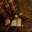 ʙᴏᴏ୧ ‧₊˚ 🍂 Discord Server Logo