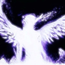 ⋆ Discord Server Logo