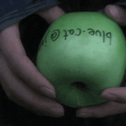 ๐๐๐๐ ๐๐๐๐๐๐ใใชใชใทใฅใทใฅใ Discord Server Logo